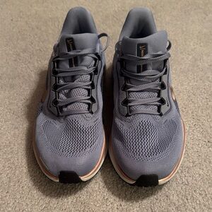 Nike Women’s Pegasus 41 Dark Grey Bronze Gold 9.5 EUC